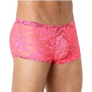 Mens Stretch Lace Briefs